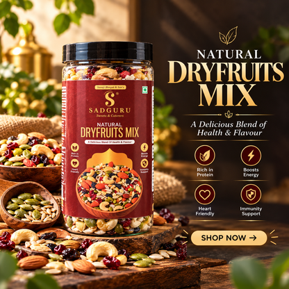 Natural Dryfruits Mix